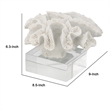 Davy Rising Faux Coral Accent- Clear Glass- Luxe White Polyresin 9 Inch