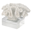 Davy Rising Faux Coral Accent- Clear Glass- Luxe White Polyresin 9 Inch