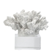 Davy Inna Faux Coral Accent- Clear Glass- Natural White Polyresin 8 Inch