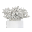 Davy Inna Faux Coral Accent- Clear Glass- Natural White Polyresin 8 Inch