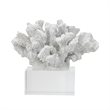 Davy Inna Faux Coral Accent- Clear Glass- Natural White Polyresin 8 Inch