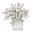 Davy Inna Faux Coral Accent- Clear Glass- Natural White Polyresin 8 Inch
