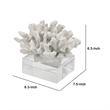 Davy Inna Faux Coral Accent- Clear Glass- Natural White Polyresin 8 Inch