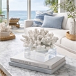 Davy Inna Faux Coral Accent- Clear Glass- Natural White Polyresin 8 Inch