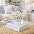 Davy Inna Faux Coral Accent- Clear Glass- Natural White Polyresin 8 Inch