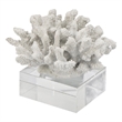 Davy Inna Faux Coral Accent- Clear Glass- Natural White Polyresin 8 Inch