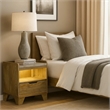 Gary Nightstand with LED- 1 Drawer and Open Cubby- Farmhouse Aspen Brown