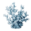 Decorative Sculpture- Faux Coral Accent- Blue Polyresin- 11 Inch Modern