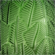 Dsy Floral Vase with Gold Rim- Embossed Fern Leaf- Green Glass 6 Inch