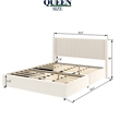 Nia Queen Bed- 2 Storage Drawers- Wingback Tufted Ivory Velvet Headboard