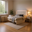 Queen Bedroom Set- White Wash- Chrome- 2 Piece Set with Nightstand