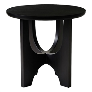 Benzara 20&quotRound Solid Mango Wood Top Side End Table in Matte Black