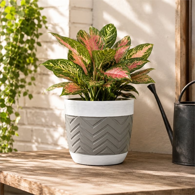Decorative Planter- Chevron Design- Gray and White 7 Inch Terracotta
