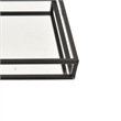 Shaya Rectangular Tray- Gallery Frame w Rails- Glass- Black Metal 16 Inch