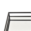 Shaya Rectangular Tray- Gallery Frame w Rails- Glass- Black Metal 16 Inch