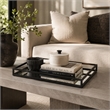 Shaya Rectangular Tray- Gallery Frame w Rails- Glass- Black Metal 16 Inch
