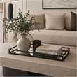 Shaya Rectangular Tray- Gallery Frame w Rails- Glass- Black Metal 16 Inch