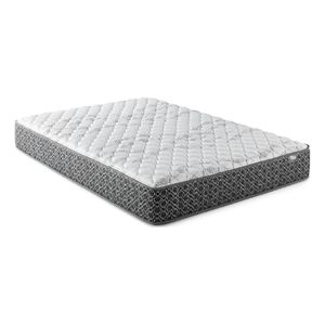 Ayes Hybrid King Mattress- Tight Top- Tencel Blend Cover- White 11 Inch