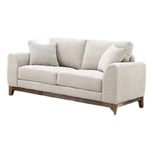 Wera Accent Loveseat with 2 Pillows- Light Gray Chenille- 65 Inch