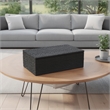 Suzie Decorative Box- Lid and Storage- Textured Black Resin 12 Inch