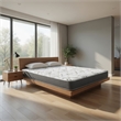 Nyon Queen Mattress- Quilted Foam- Tight Top- White Bamboo Cover 7 Inch