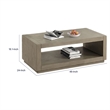 Dane Coffee Table- 48 Inch Cubic- Open Shelf- Natural Oak Gray Finish