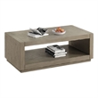 Dane Coffee Table- 48 Inch Cubic- Open Shelf- Natural Oak Gray Finish