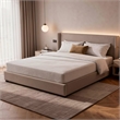 Aysa Twin XL Size Mattress- Memory Foam- White Polyester Cover- 8 Inch