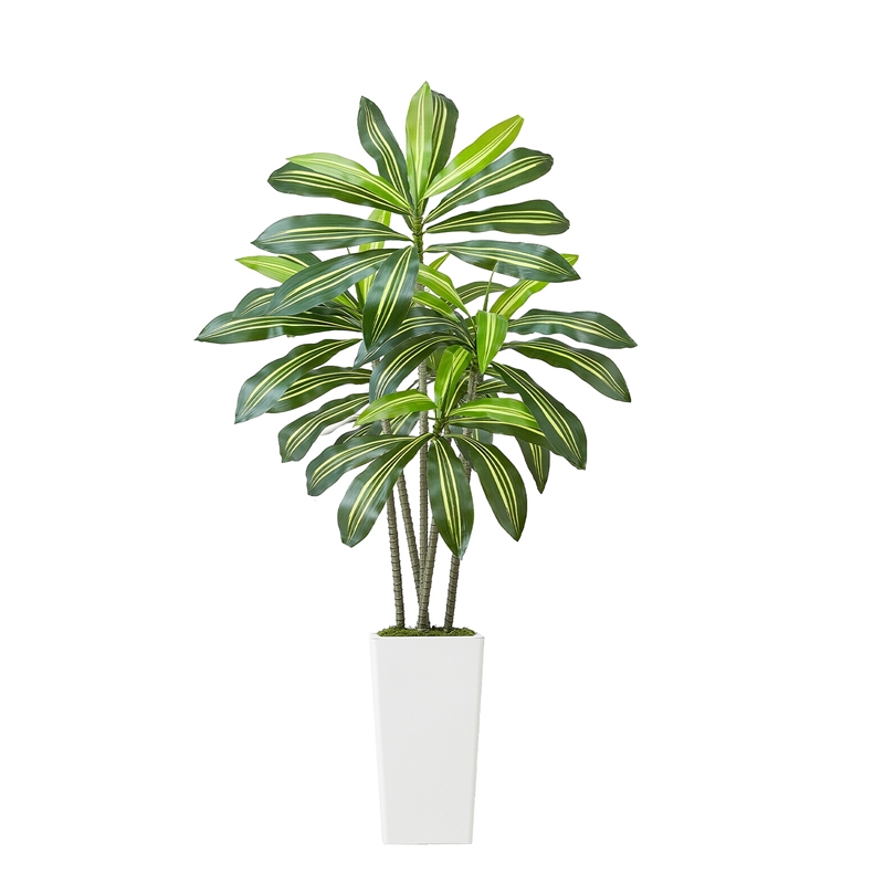 Kren Artificial Dracaena Tree- White Planter- Lifelike Poly Silk 60 Inch