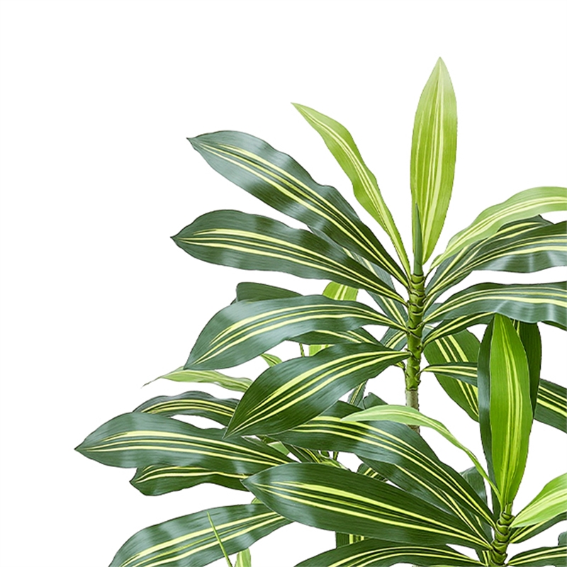 Kren Artificial Dracaena Tree- White Planter- Lifelike Poly Silk 72 Inch