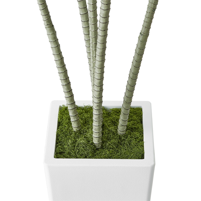 Kren Artificial Dracaena Tree- White Planter- Lifelike Poly Silk 72 Inch