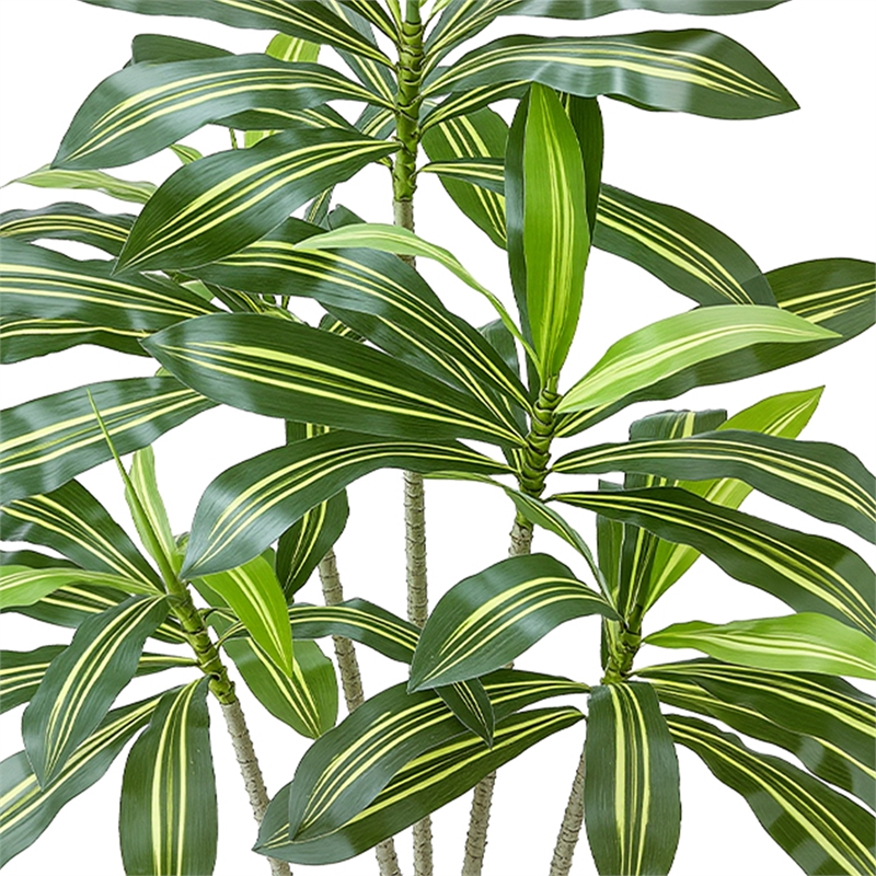 Kren Artificial Dracaena Tree- White Planter- Lifelike Poly Silk 72 Inch
