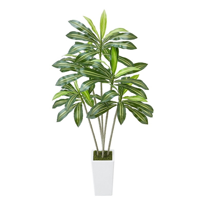 Kren Artificial Dracaena Tree- White Planter- Lifelike Poly Silk 72 Inch