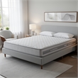 Lape Queen Mattress- 3 Layer Gel Memory Foam- Motion Isolation- Gray 6 Inch