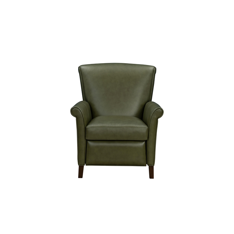 Barcalounger Phoebe Push Thru The Arms Recliner in Dobbs Sage