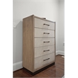 Finn & Louise Rio Vista Woven 5 Drawer Chest in Earth Tones & Clay - Wood
