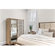 Finn & Louise Rio Vista Woven Mirrored Door Chest in Muted - Brown - Wood