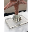Lux Lighting Aloha Starfish Seaside Coastal Table Lamps - Orange - Resin