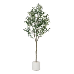 Decorative Accents