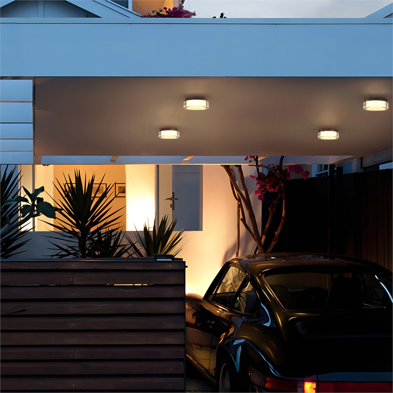 Alteck Sunspot 6 inch LED Stainless Steel Outdoor Flush Mount in Black
