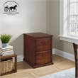 Ashford & Sons Transitional 2-Drawer Wood File Cabinet in Oak