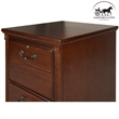 Ashford & Sons Transitional 2-Drawer Wood File Cabinet in Oak