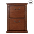 Ashford & Sons Transitional 2-Drawer Wood File Cabinet in Oak