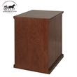 Ashford & Sons Transitional 2-Drawer Wood File Cabinet in Oak