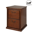 Ashford & Sons Transitional 2-Drawer Wood File Cabinet in Oak