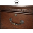 Ashford & Sons Transitional 2-Drawer Wood File Cabinet in Oak