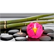 Brightspot Blooming Lotus Capiz Shell Tea Light Holder in Pink