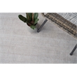 Bintan Flatweave Pet Ivory/Beige 5'x8' Area Rug