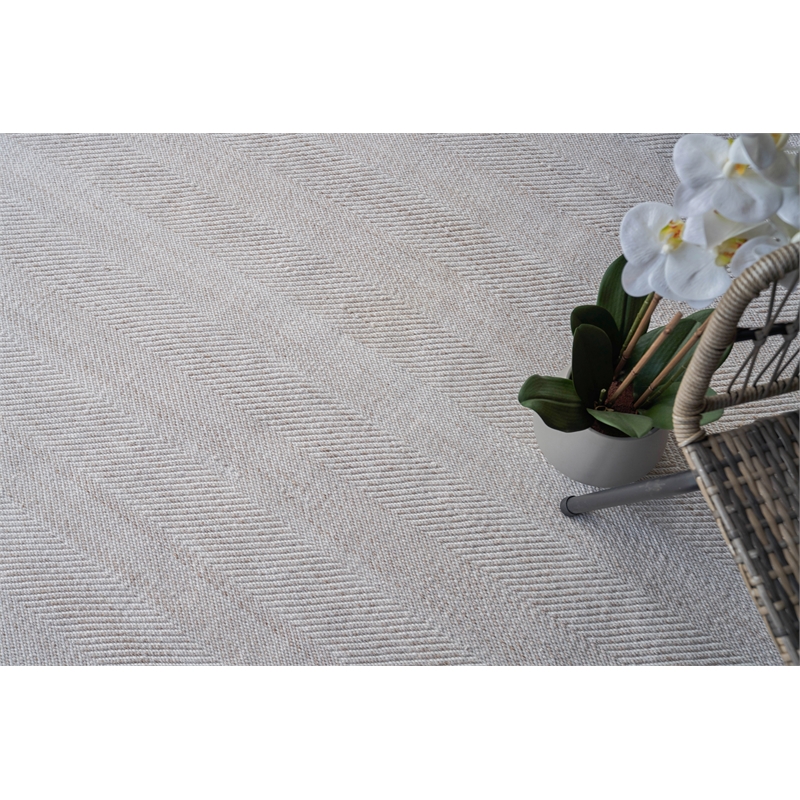 Bintan Flatweave Pet Ivory/Beige 5'x8' Area Rug
