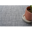 Echo Flatweave Pet Ivory/Black 6'x9' Area Rug
